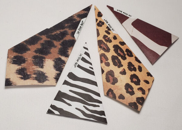 Safari - Image 7